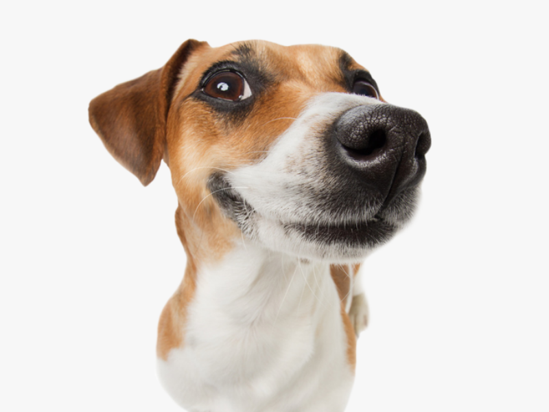 Had a heavy piece of equipment installed in an awkward part of the house. Arrived on time and got the Job done in a very timely manner.